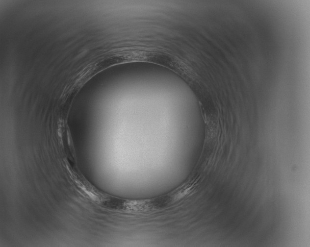 X0000052950141200507300055