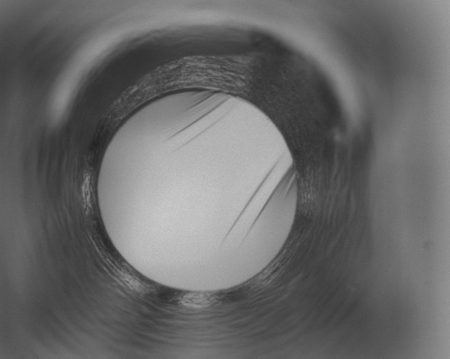 X0000052950142200507300055