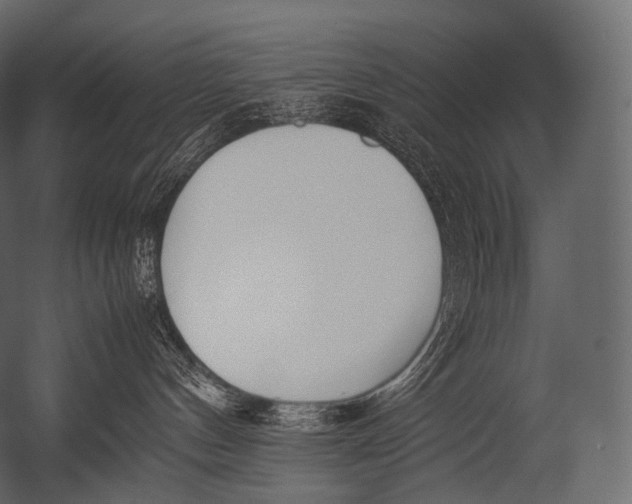 X0000052950144200507300055