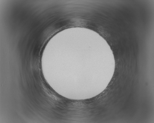 X0000052950146200507300054