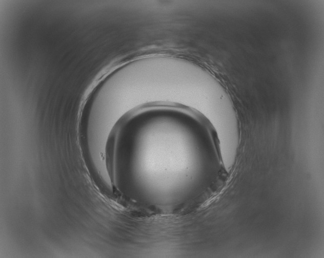 X0000052950150200507300054
