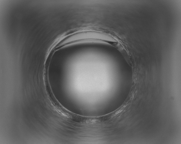 X0000052950152200507300054