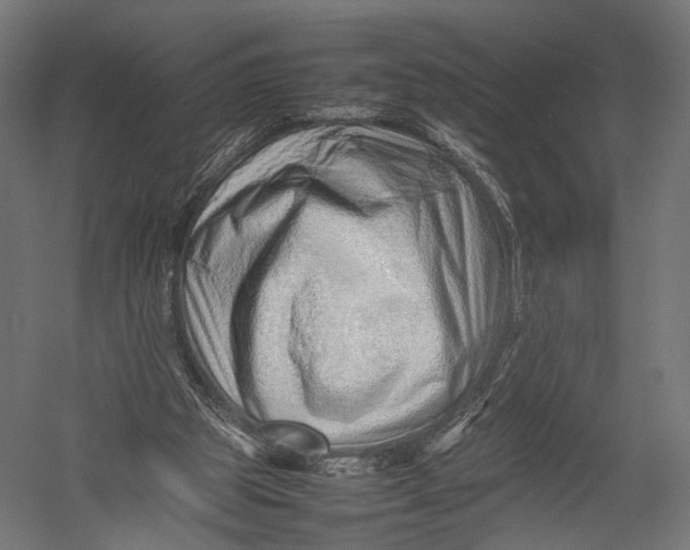 X0000052950153200507300054