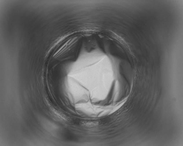 X0000052950155200507300054