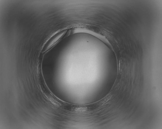 X0000052950156200507300054