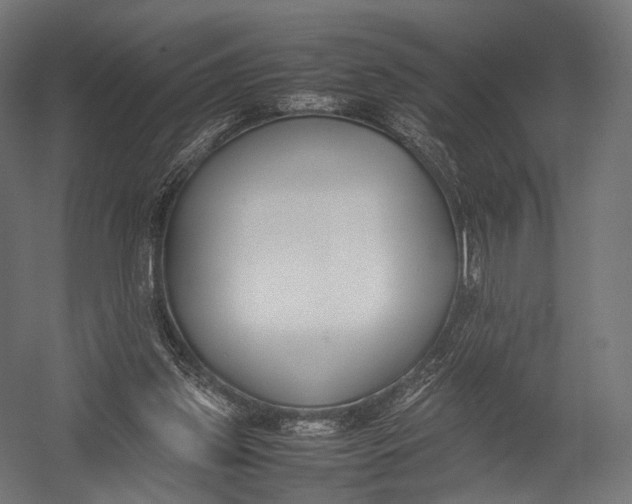 X0000052950157200507300054