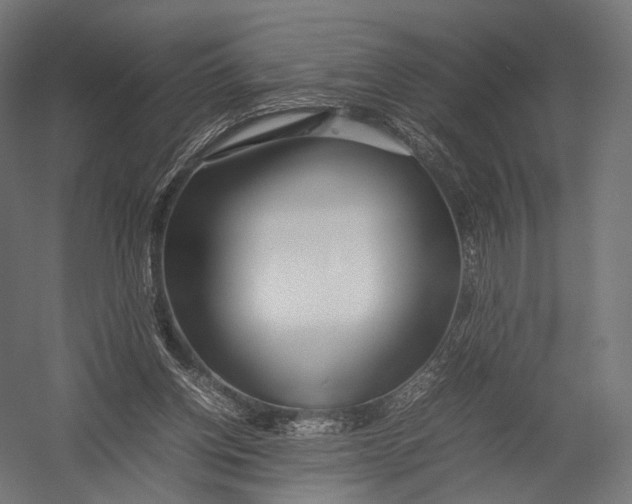 X0000052950158200507300054