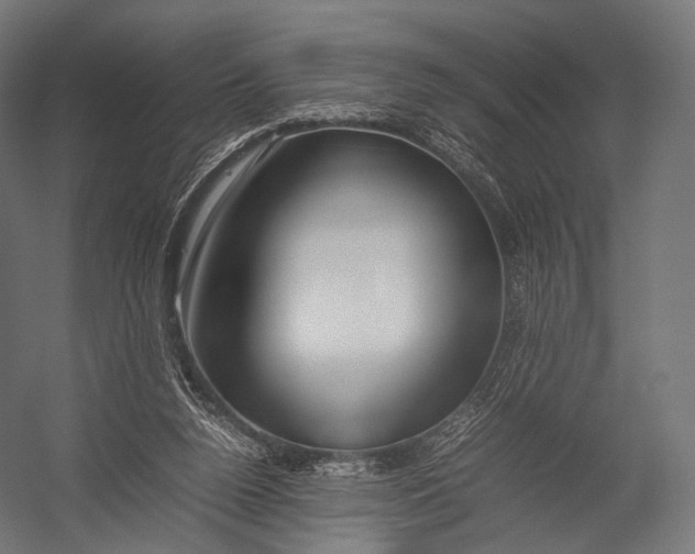 X0000052950160200507300054