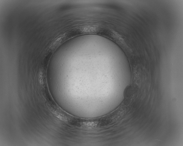 X0000052950161200507300054