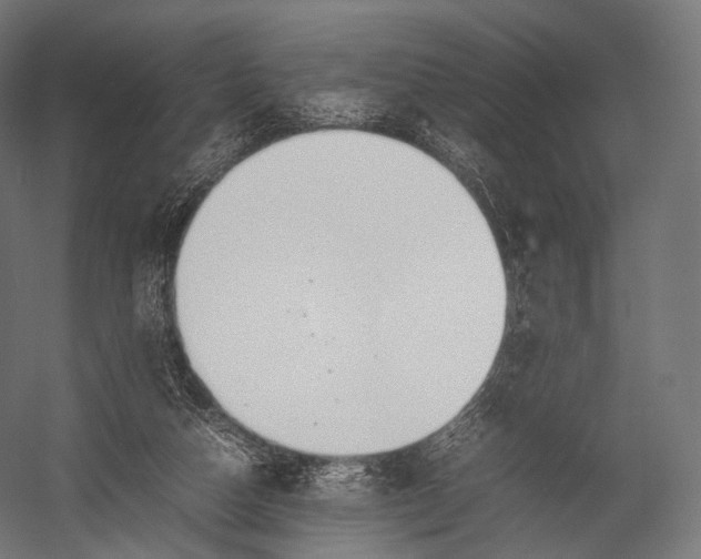 X0000052950162200507300054
