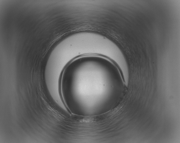 X0000052950164200507300054