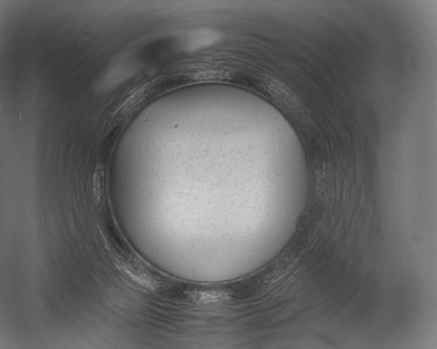 X0000052950165200507300054