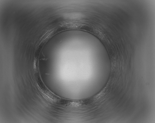 X0000052950166200507300054
