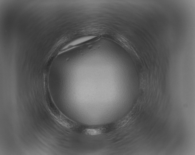 X0000052950167200507300054