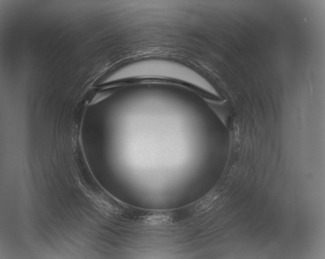 X0000052950168200507300054