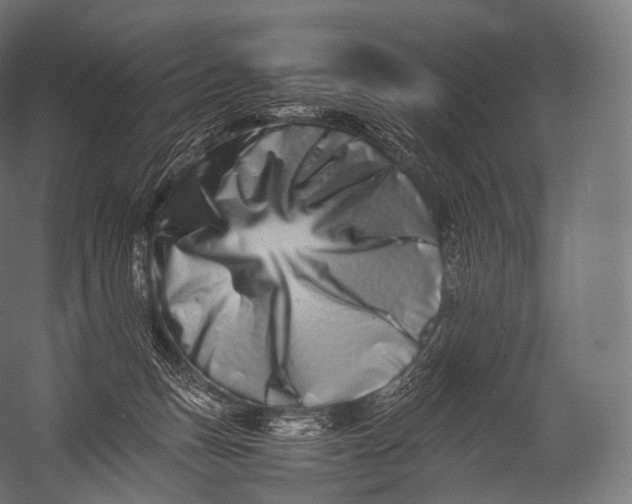 X0000052950175200507300054