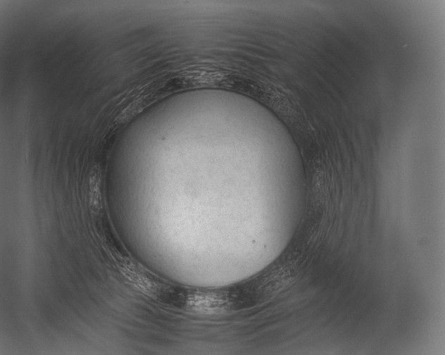 X0000052950177200507300054