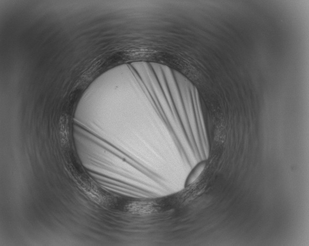 X0000052950179200507300054