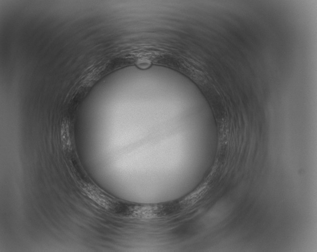 X0000052950182200507300055