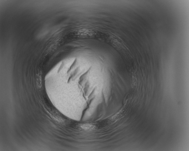 X0000052950183200507300055