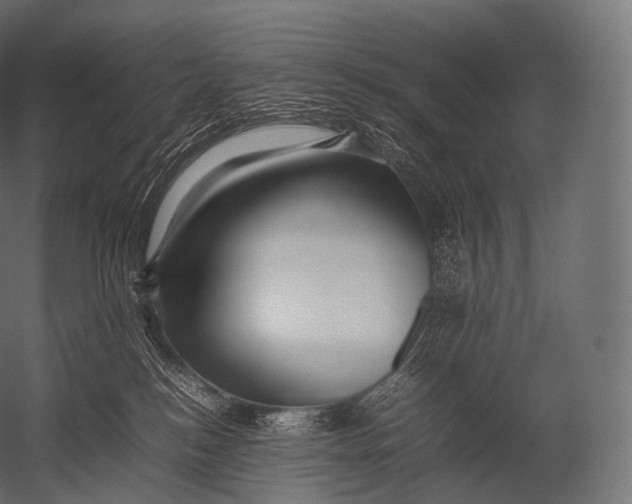 X0000052950184200507300055