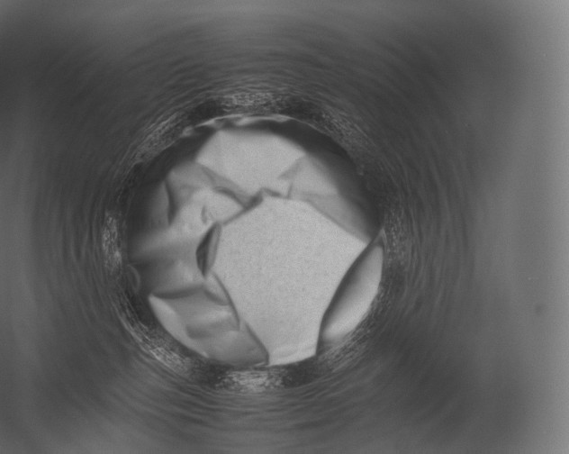 X0000052950187200507300055
