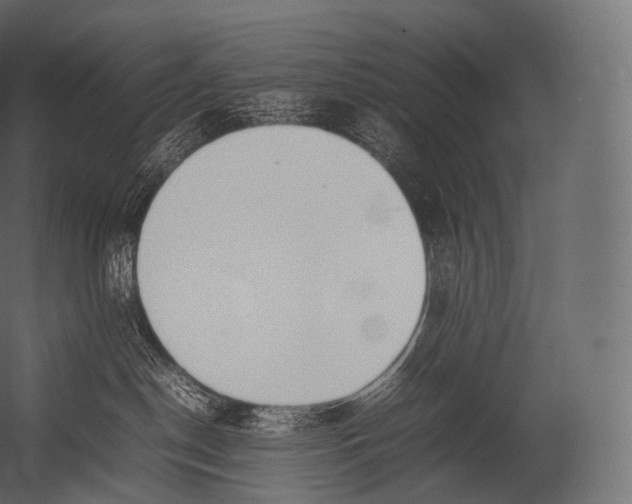 X0000052950190200507300055