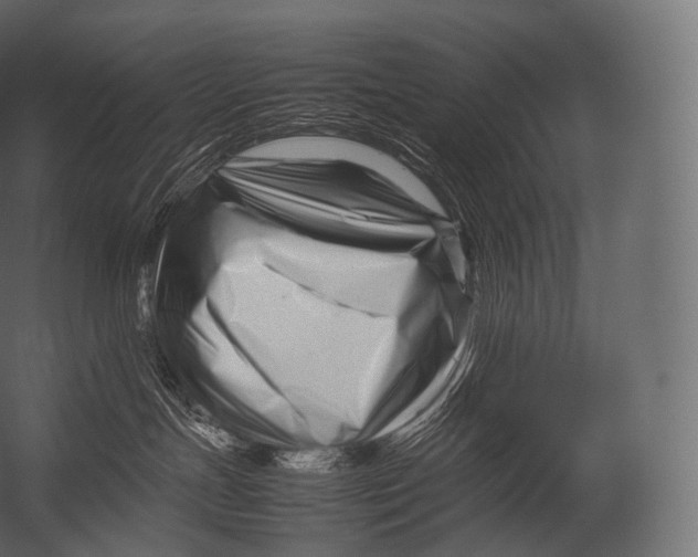 X0000052950191200507300055