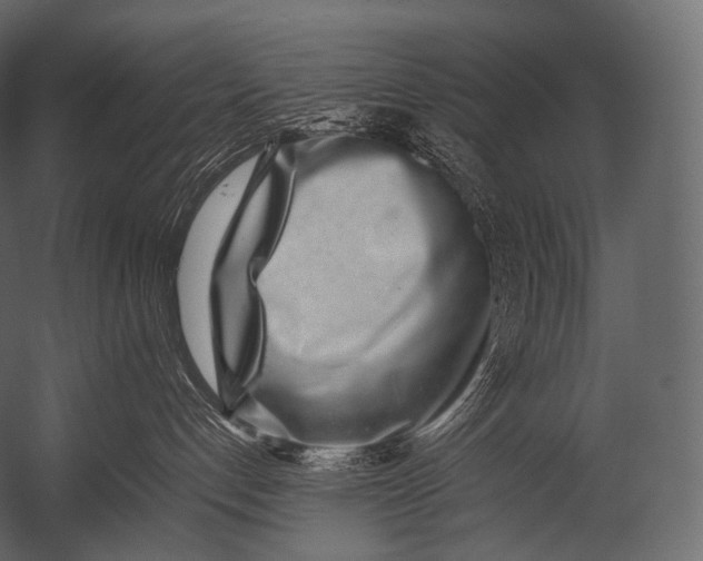 X0000052950192200507300055