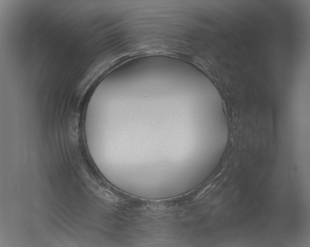 X0000052950194200507300054