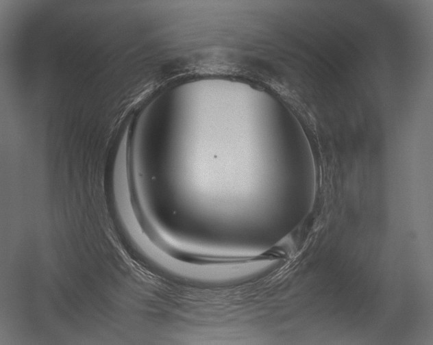 X0000052950201200507300054