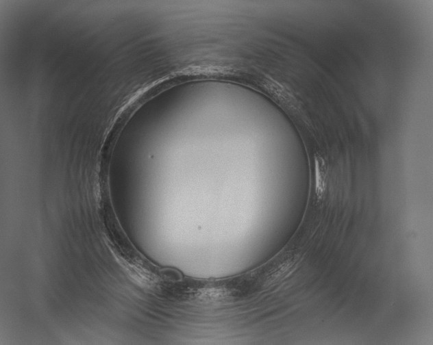 X0000052950204200507300054