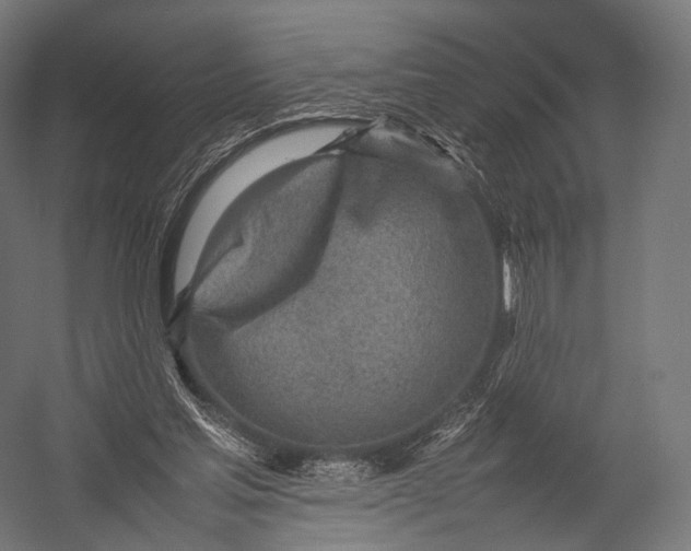 X0000052950205200507300054