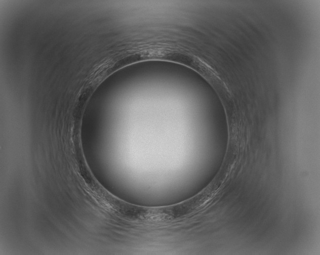 X0000052950209200507300054