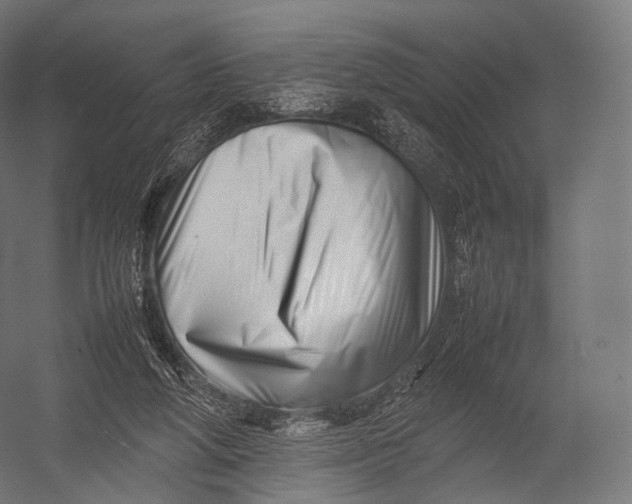 X0000052950210200507300054