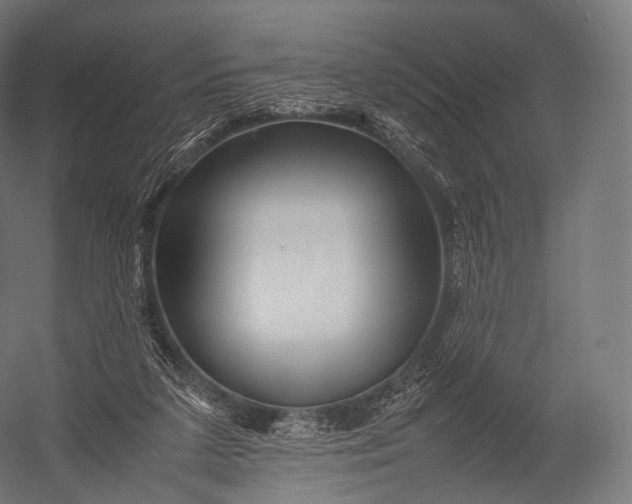 X0000052950211200507300054