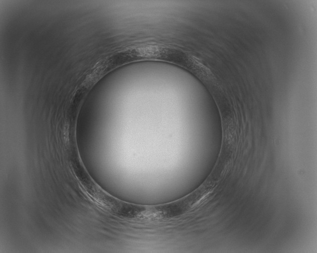 X0000052950213200507300054