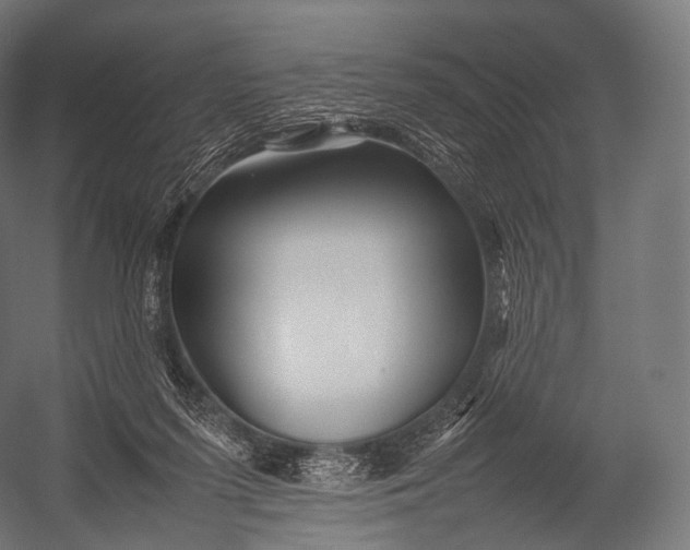 X0000052950215200507300053