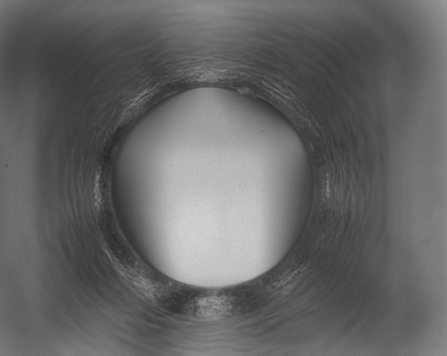 X0000052950216200507300053