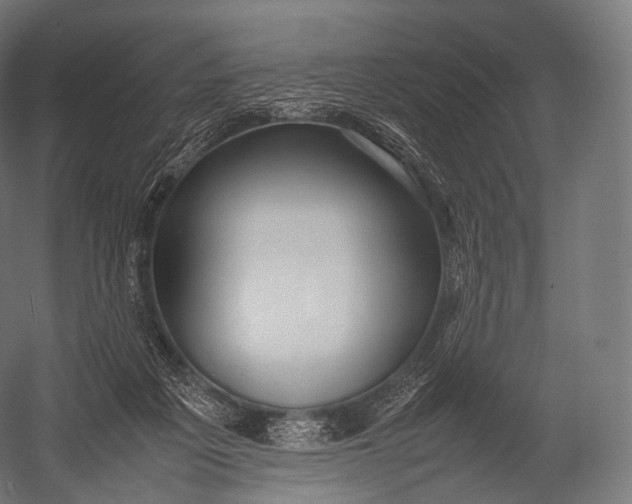 X0000052950217200507300053