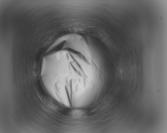 X0000052950218200507300053