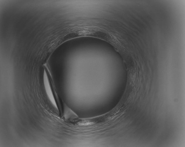X0000052950219200507300053