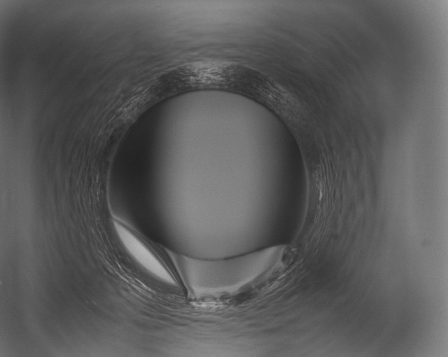 X0000052950223200507300053