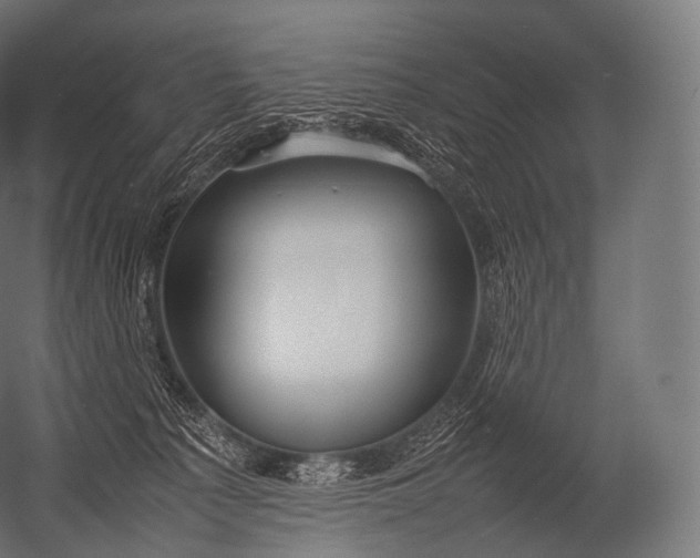 X0000052950225200507300053
