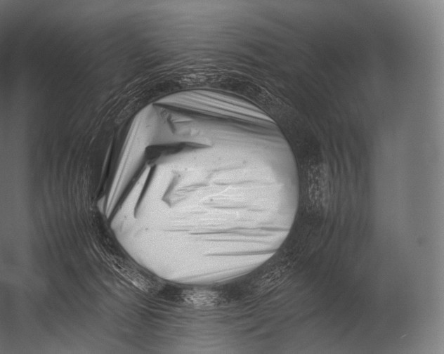 X0000052950226200507300053