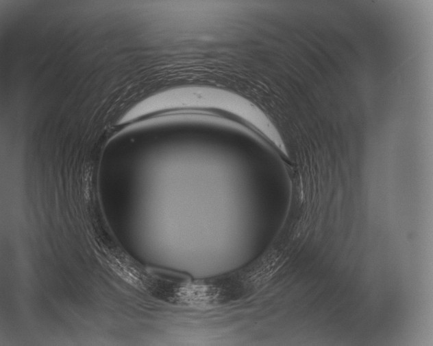 X0000052950227200507300053