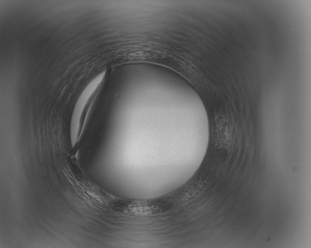 X0000052950228200507300053