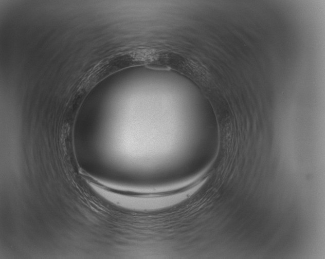 X0000052950229200507300053
