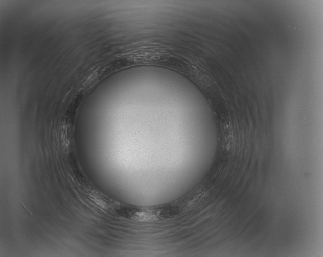 X0000052950232200507300053