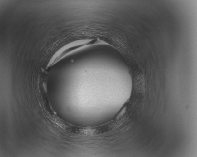 X0000052950233200507300053